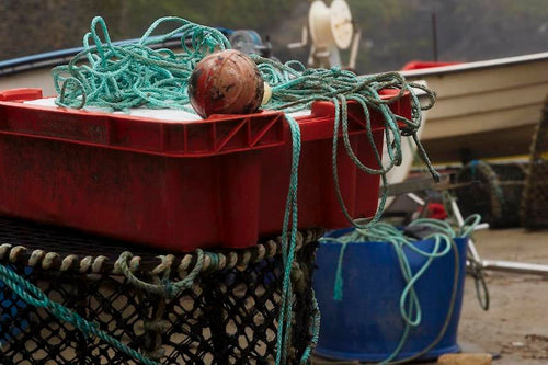 Chase the January blues away.