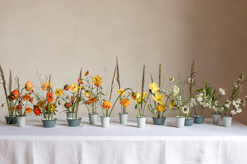 SEASONAL FLOWERS | AN INTERVIEW WITH PANZER’S FLOWERS.