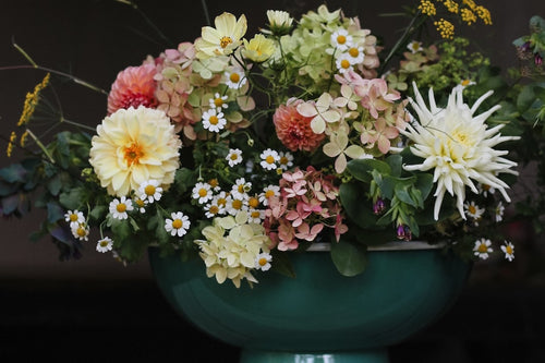 Autumn in Bloom.