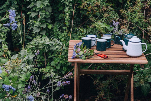 Growing Your Own Herbs.